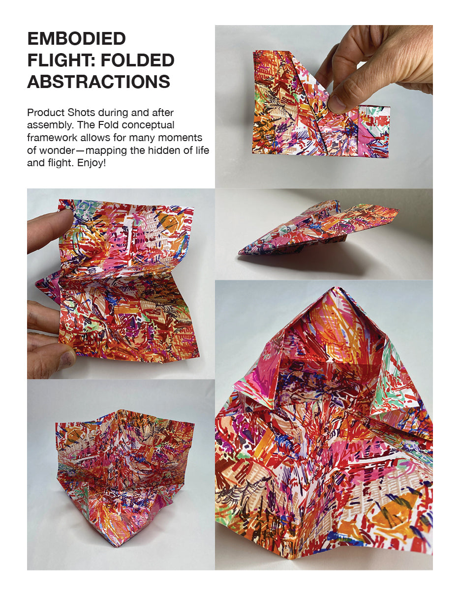 Limited Edition Print - Airplane Kit (The Dart)